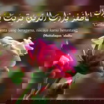 Nur Laila profile icon