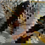 โสนน้อย เรือนงาม profile icon