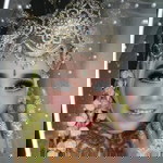 Ani Wibowo profile icon