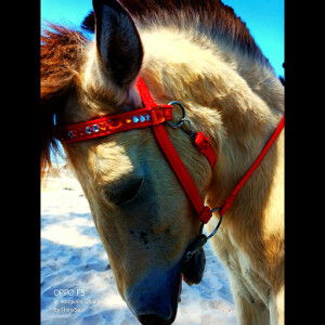 Theinmalar Balakrishnan profile icon