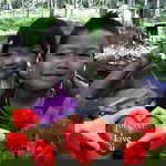 ทิพวรรณ ศรีมุข profile icon