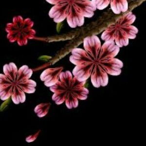 Defi HeLdia Rahmi profile icon