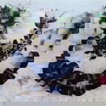 Dila Dil profile icon