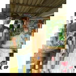 Tor Ning profile icon