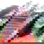 Wenn E profile icon