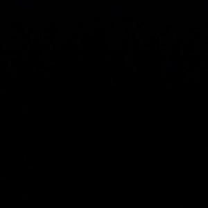 Kimry Saraus profile icon