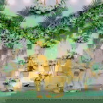 May Lany profile icon