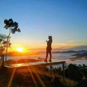 Mida Mida profile icon