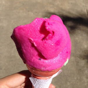 Paris Gala profile icon