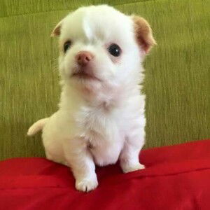 ณัฐณิชา สาสูงเนิน profile icon