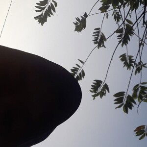 Novi Srirahayu profile icon