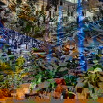 Airam Nopitac profile icon