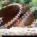 Kwonjhen Cortez profile icon