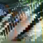 Palm Pornlai profile icon