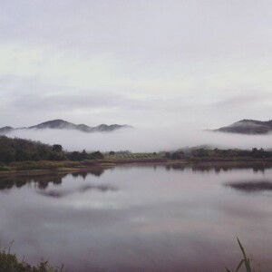 Ohh Nicharee profile icon