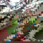 Yuly Setiyawati profile icon