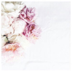 Noor Hidayah profile icon