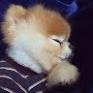 ririn agustia profile icon