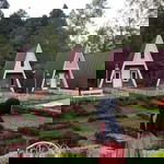 Rachell profile icon