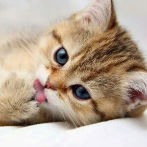 Hilda Fitriyani profile icon