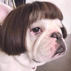 Wanida Kaewkhantee profile icon