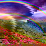 Syud Syud profile icon