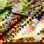 Chompunuch Thamung profile icon