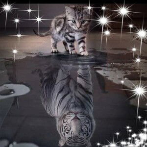 وان نور مرحمة profile icon