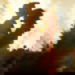 Fitria MS profile icon