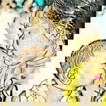 Jasmin Centino profile icon