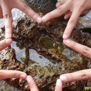 Hastin Sulis Setiyawati  profile icon