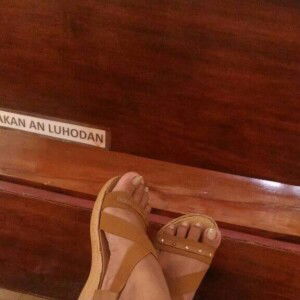 Nylenor Malunes Boton profile icon