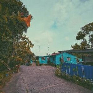 Nurul Shafini profile icon