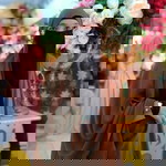 Isma Nidar Beumeutuah profile icon