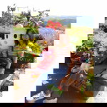 ทิงเกอร์ เบลล์ profile icon