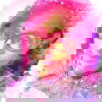 Dashni Subramaniam profile icon