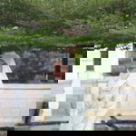 Ruzz Maa profile icon