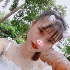 Vi Hàn profile icon