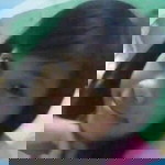 Arniz pratiwi profile icon