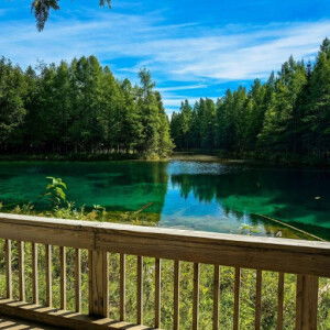 Derinayu putri profile icon