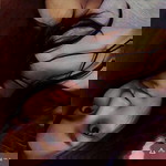 Eka Maylani profile icon