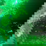 Arnie Kison profile icon