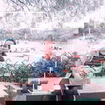 Aleli Red Soliman profile icon