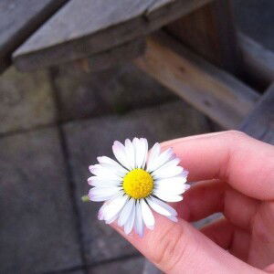 Zanjabil profile icon