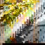 Taryati Nba profile icon