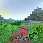 วี นัส profile icon