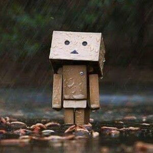 Thảo Vy profile icon