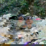 Aswana Rosu profile icon