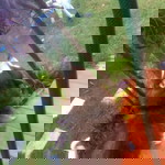 สิทธิพร มีถาวร profile icon