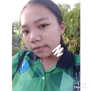 ทิพย์. โสภา profile icon